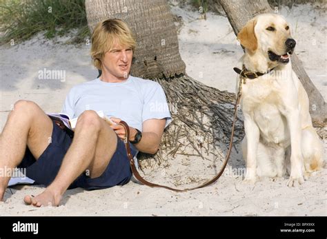 Marley And Me Movie Owen Wilson High Resolution Stock Photography and Images - Alamy