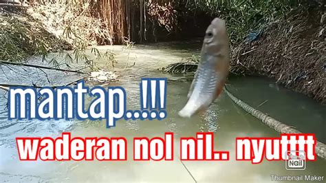 Spot Lama Bersemi Kembali Mancing Ikan Wader Youtube