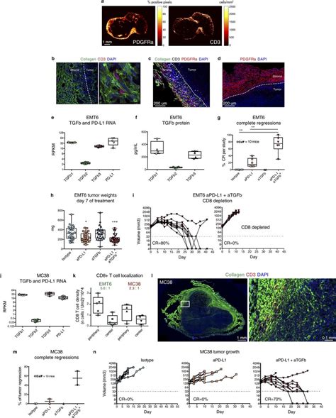 Efficacy Data Of Anti Tgfβ And Anti Pd L1 Treatment In Emt6 And Mc38