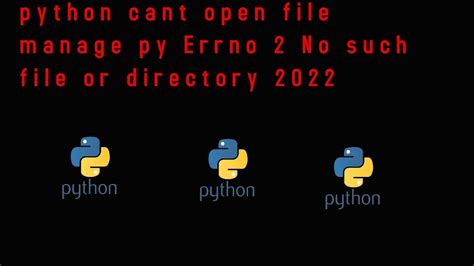 Python Cant Open File Manage Py Errno No Such File Or Directory Youtube