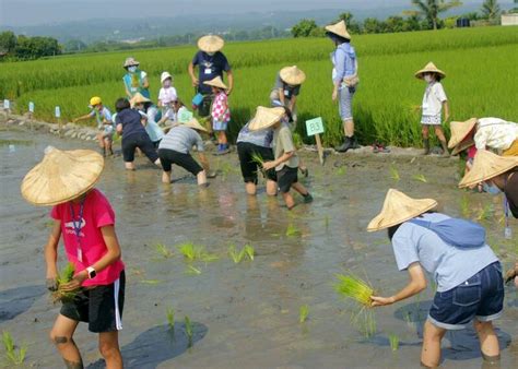 全國十大食農體驗經典路線！ 烏日溪尾體驗竹筏擺渡、農田插秧 臺中市 自由時報電子報