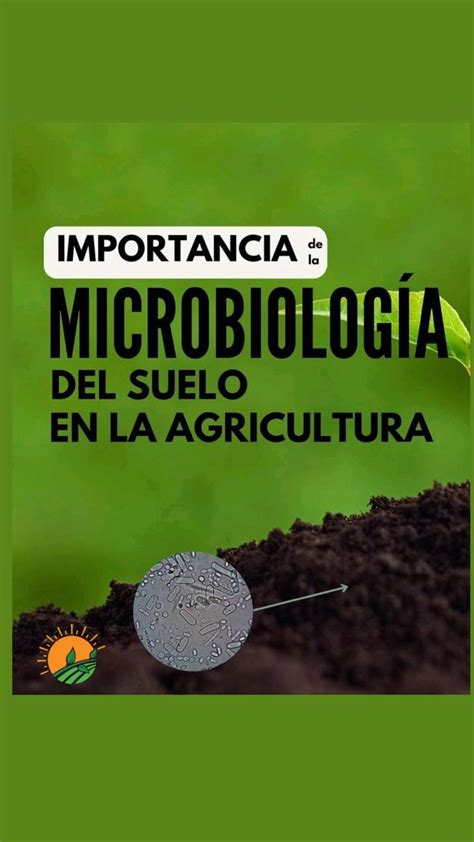 La Microbiolog A Del Suelo Es Una Rama De La Ciencia Del Suelo Que