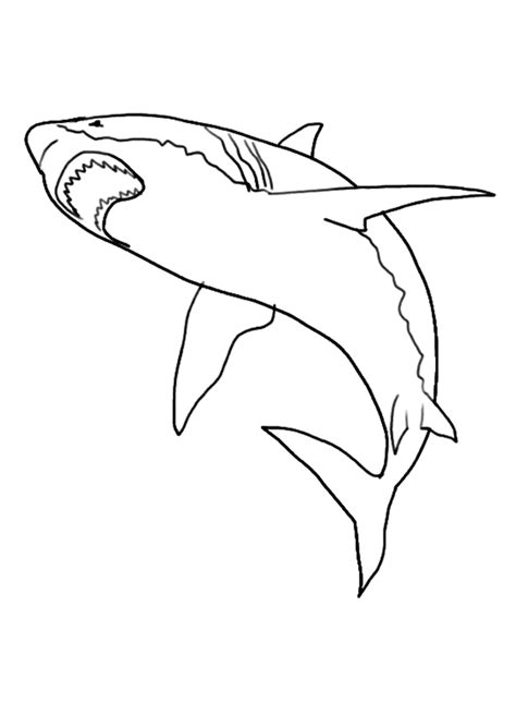 Free Printable Shark Coloring Pages For Kids