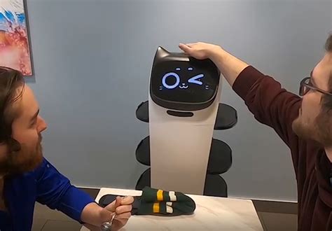 Canadian Restaurant Adds A Cat Like Robot To Its Waiting Staff