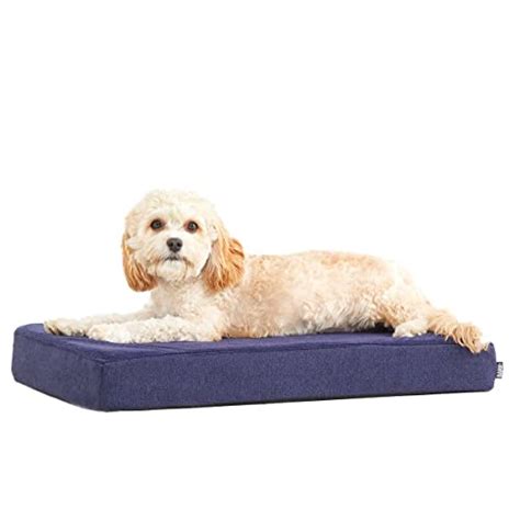 The Best Memory Foam Dog Beds (2022 Reviews) – Pet Care Resource