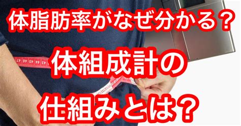 体脂肪率がなぜ分かる？体組成計の仕組みとは？