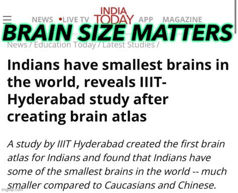 Brain Size Matters Imgflip