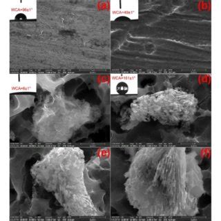 SEM Pictures Of Samples At Various Magnifications A Al Substrate B