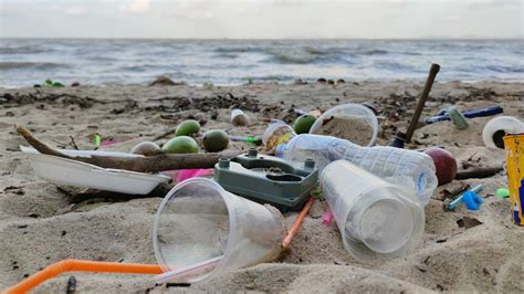 Quelles Sont Les Entreprises Qui G N Rent Le Plus De D Chets Plastiques