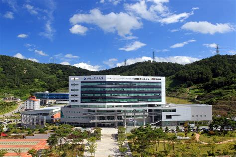 전남교육청 학교자율 종합감사 본격 시행 노컷뉴스