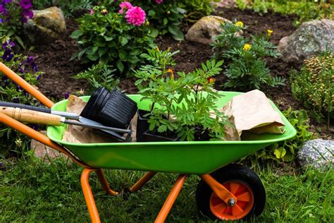 How To Use A Wheel Barrow Step By Step Guide