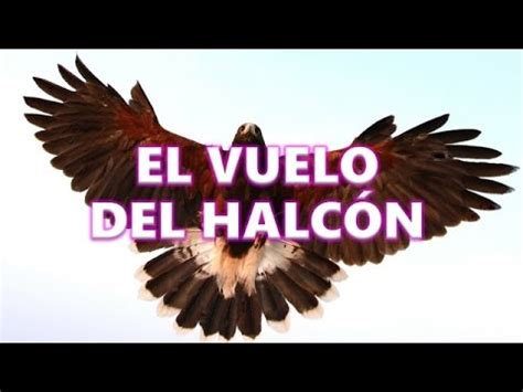 El Vuelo Del Halc N Reflexi N Youtube