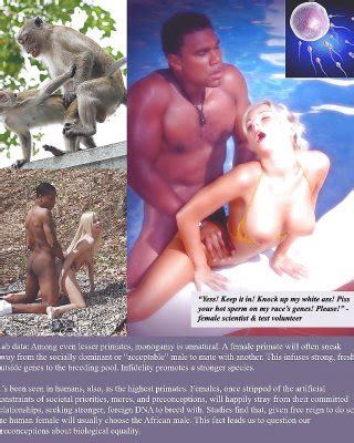 Bbc Captions Porn Pictures Xxx Photos Sex Images Pictoa