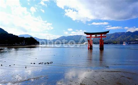 宮島の海に浮かぶ厳島神社の鳥居・干潮時 No 4477813｜写真素材なら「写真ac」無料（フリー）ダウンロードok