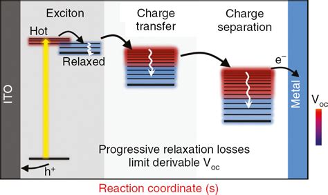 Temporal Probing Of Excitons In Organic Semiconductors