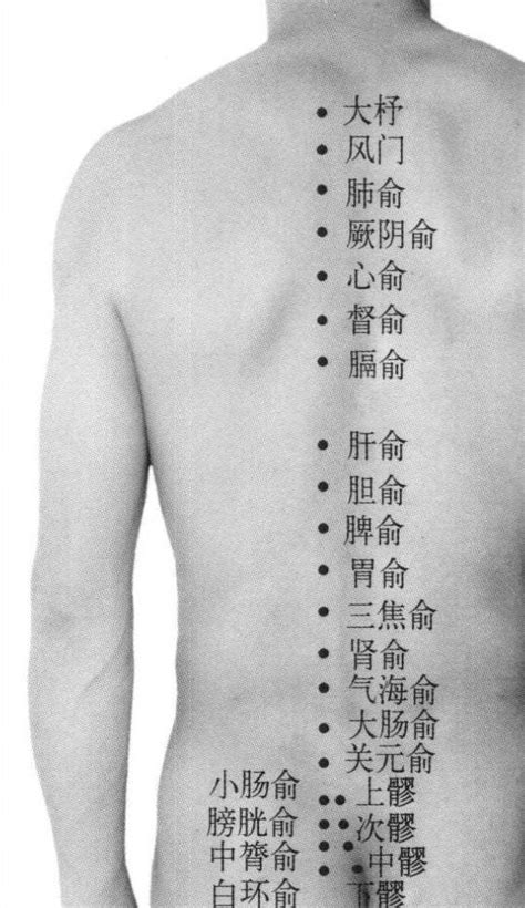 154 中膂俞 针灸经穴触诊定位 医学