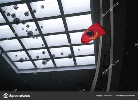 Tirana Albania November 2023 Young People Holding Albanian Flags Inner ...