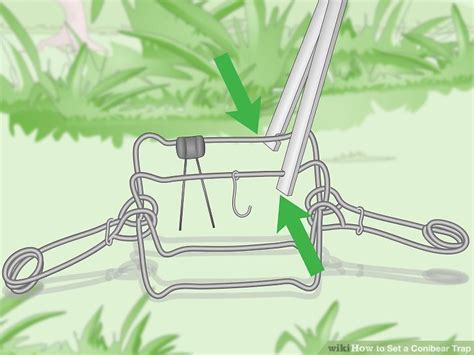 How to Set a Conibear Trap: 12 Steps (with Pictures) - wikiHow