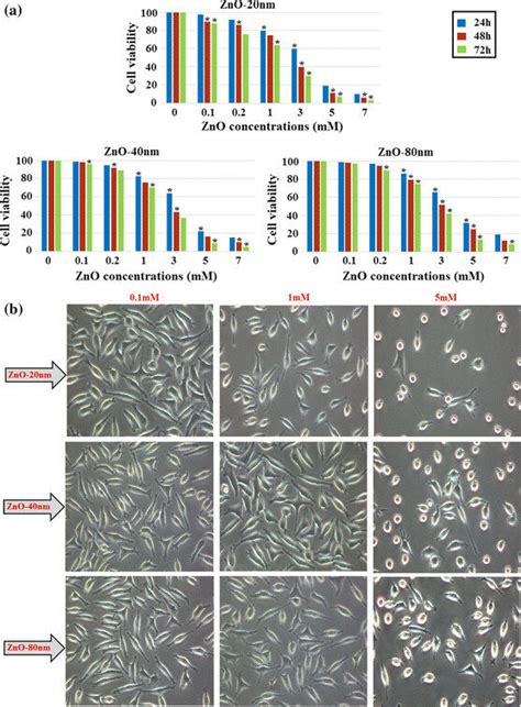 Cytotoxicity Of ZnO NPs On L929 Fibroblast Cell Lines Assessed By MTS