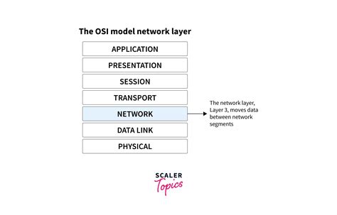 Network Layer Protocols Scaler Blog