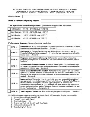 Fillable Online Dphhs Mt SFY17 Quarterly Report Template PDF Version