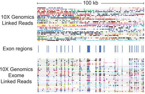 X Genomics