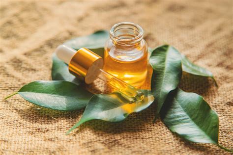 Best Benefits Of Using Tea Tree Oil On Hair With Tame Comb