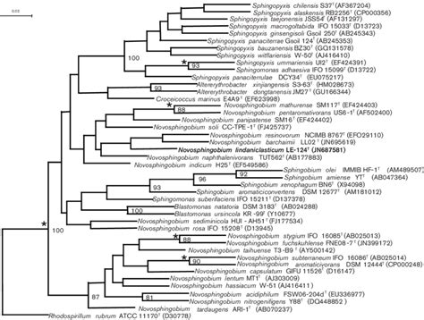 Phylogenetic Tree Based On Nearly Complete 16s Rrna Gene Sequence Data