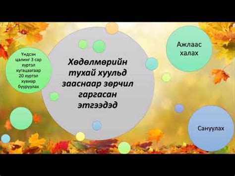 хөдөлмөрийн эрх зүйн харилцаа - YouTube