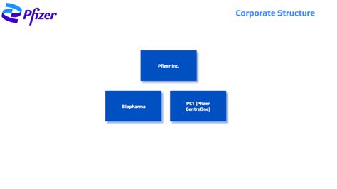 Pfizer Org Chart In 2023 Databahn