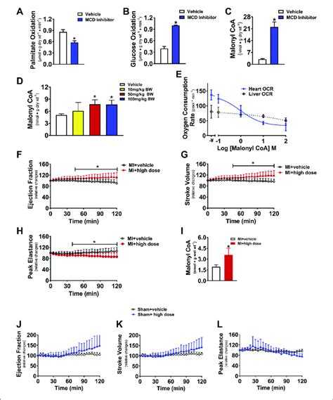 Acute Effects Of Malonyl Coenzyme A Coa Decarboxylase Inhibition On