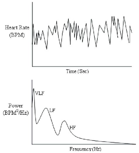 Frequency Domain Heart Rate Variability Top Each Point Represents The