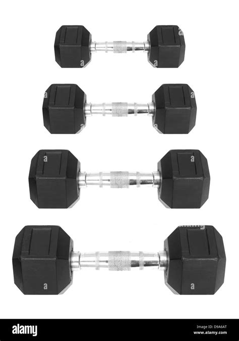 gym weights isolated   white background stock photo alamy
