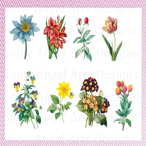 Fussy Cut Flowers Collage Sheet Fussy Cut Digital Printable Etsy