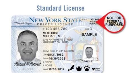 Ny Commercial Drivers License Manual