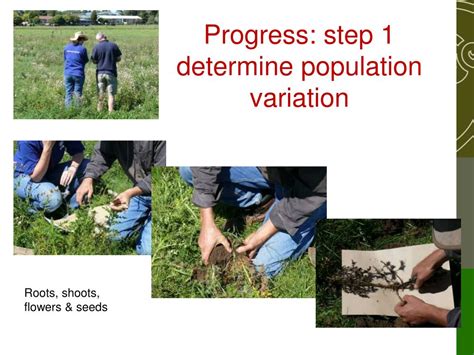 Ppt Endophytes Biocontrol Killers Powerpoint Presentation Free