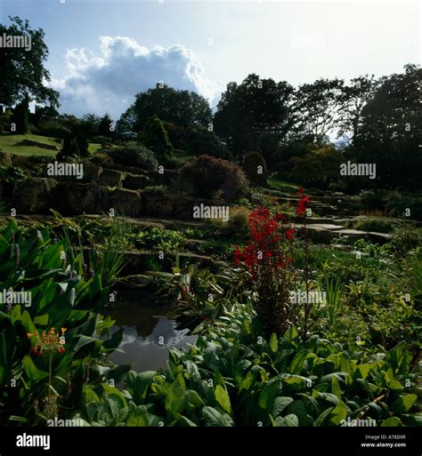 wisley garden rock garden surrey  res stock photography  images