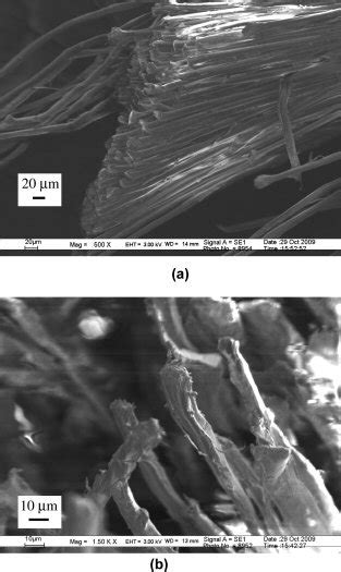 Sem Micrograph Of Fractured Fibers In Twaron Epoxy Composite A