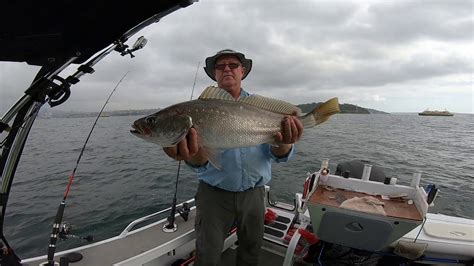 Fishing For Kingfish And Jew Fish In Sydney Harbor 5 2 19 YouTube