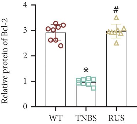 Rus Inhibits Intestinal Epithelial Cell Apoptosis But Not Pyroptosis