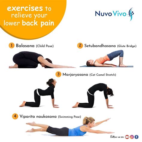 10 Exercises to Relieve Lower Back Pain | Stretches to Reduce Back Pain