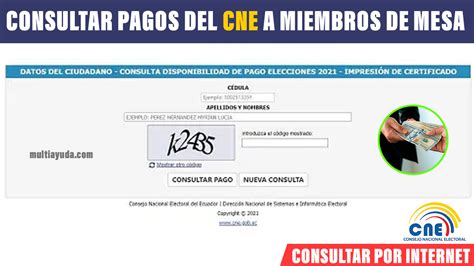 Consultar Pagos Del Cne A Miembros De Mesa