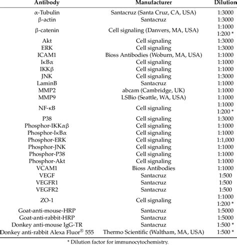 Information Of Primary Antibodies Download Table