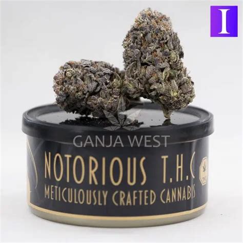 Notorious Thc Craft Gas Chamber Craft Grams Ganja West Online Shop