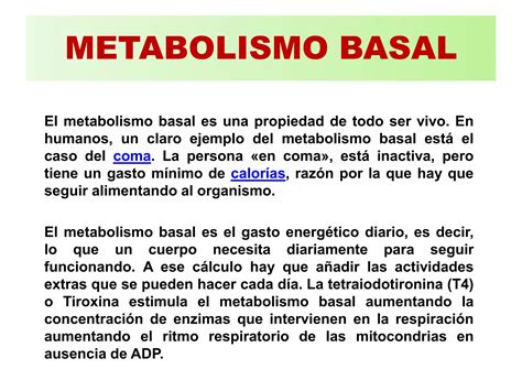 Tema Metabolismo Basal Y Actividad F Sica Ppt