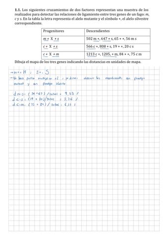 Problemas Adicionales Temas Resueltos Pdf