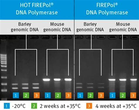 Firepol X Master Mix Mm Ready To Load Ml Rxns Labormaterial