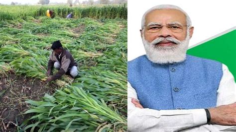 Pm Kisan Scheme Farmers Must Complete This Process By March 31 To