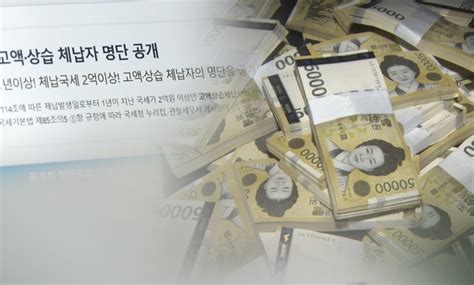 상습체납자 6940명 명단 공개3억 안 낸 래퍼 도끼도 포함 네이트 뉴스