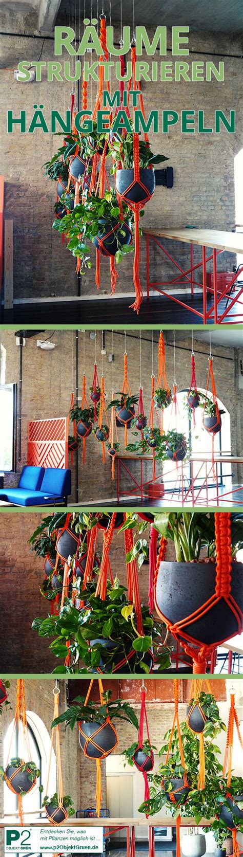 There Are Many Hanging Plants In The Room And One Is Orange Green And Red